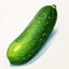 Cucumber