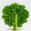 Kale