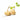 Yam Bean Seeds, 100 Seeds