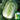 'Jiaoyan Qiubao' Chinese Cabbage Seeds, 10g