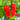 Chili Devils Tongue Red Hot Pepper Seeds
