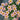 Oxalis obtusa Series Bulb - 'Echo', 2 Bulbs