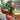 'Strawberry Fruit' Tomato