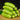 Spineless Creamy Cucumbers Seeds, 50 Seeds