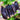 Purple-Podded Snow Pea Seeds, 10g