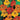 Aurora Nasturtium Mix Seeds, 50 Seeds