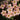 Oxalis obtusa Series Bulb - 'Polar Aurora', 2 Bulbs