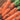 Five-Inch Ginseng Carrot Seeds, 10g