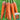 Traditional Five-Inch Carrot Seeds, 8g