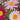 Painted Daisy Seeds, 200 Seeds