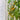 Mille Fleurs Tomato Seeds, 5 Seeds
