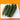 Guangliang No.74 Fruit Cucumber Seeds, 100 Seeds