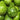 Qiangchun Duosheng Variegated Bottle Gourd Seeds, 8g