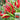 Tasty Upward-Growing Chili Pepper Seeds, 60 Seeds