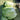 'Jiaoyan 5869' Chinese Cabbage Seeds, 10g