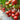 Pink Emperor Tomato Seeds, 1000 Seeds