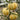 Orange Beibei Pumpkin Seeds, 50 Seeds