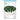 Dark-green-leafed Baby Bok Choy Seeds, 5 × 1k-seed Bags