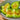 Flying 61' Yangjiao Melon Seeds, 20 Seeds