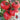 Belia Tomato Seeds, 30 Seeds