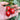 Hongcuili Cherry Tomato Seeds, 20 Seeds
