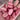 Thick-fleshed Sword Bean Seeds, 5 Seeds Per Bag