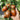 Purple Roman Tomato Seeds, 10 Seeds