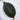 Jingyan Olive-shaped Pumpkin Seeds, 10 Seeds