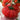 'Dongfanghong' Tomato Seeds, 10 Seeds