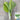White-Stalked Baby Bok Choy Seeds, 20g