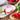 Cherry Radish Seeds, 10g