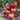 Alas No.9 Hybrid Pink Tomato Seeds, 50 Seeds