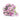 Pink Alpine forget-me-not Seeds, 200 Seeds