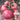 Alas No.9 Hybrid Pink Tomato Seeds, 50 Seeds