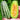 Feitian No.9 Hybrid Sweet Melon Seeds, 20 Seeds