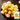 Ground cherry Seeds, 5g
