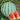 Qilin No.1 Watermelon Seeds, pack of 50