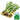 Sawtooth Coriander Seeds, 1000 Seeds