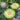 Dumi 101 Muskmelon Seeds, 500 Seeds