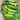 'Superior' Classic Fruit Cucumber Seeds, 3g