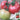 Gemjet No.5 F1 Tomato Seeds, 100 Seeds