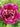 'Hong Hai Yin Bo' Peony Seedling