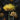 Yellow Strawflower Seeds, 200 Seeds