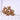Carrion Flower Seeds, 10 Seeds