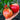 Russian Pink Oxheart Tomato Seeds, 3 Seeds