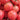 Jinpeng No.3 Tomato F1 Seeds, 5g