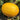 Hongyu Muskmelon Seeds, 100 Seeds