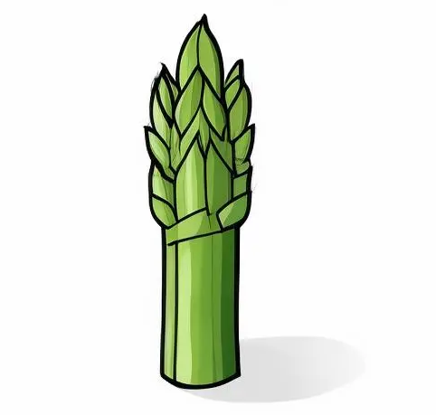 Asparagus