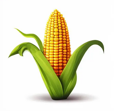 Corn