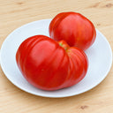 481 Jarson 8 Tomato, 5 Seeds
